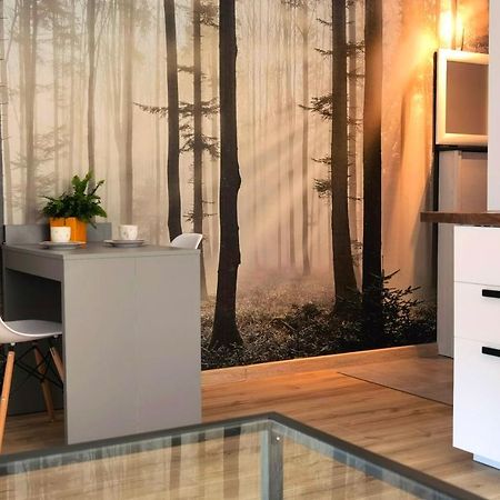 Apartament Sosnowa Puławy Екстериор снимка