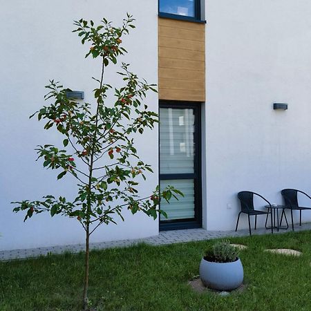 Apartament Sosnowa Puławy Екстериор снимка