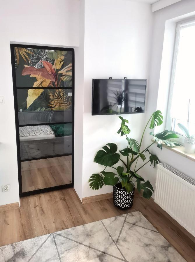 Apartament Sosnowa Puławy Екстериор снимка