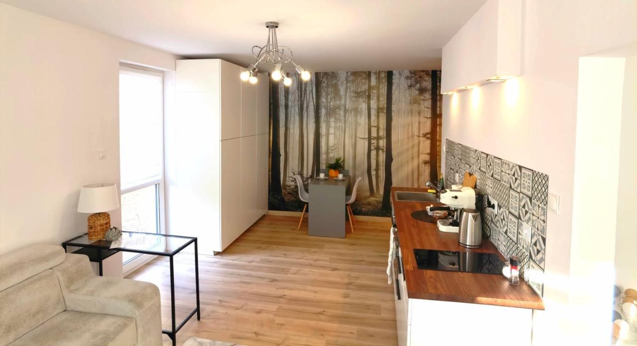 Apartament Sosnowa Puławy Екстериор снимка