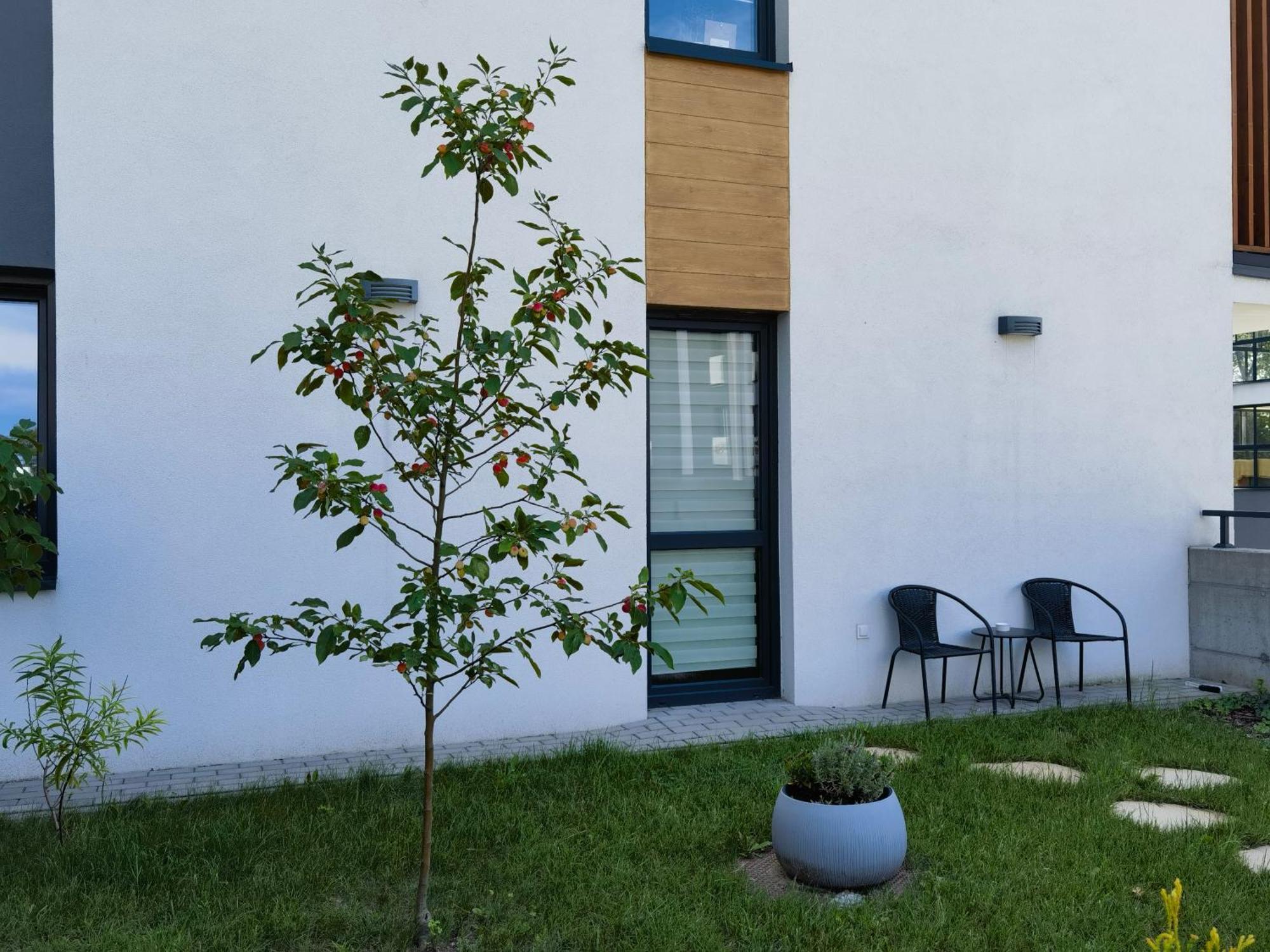 Apartament Sosnowa Puławy Екстериор снимка